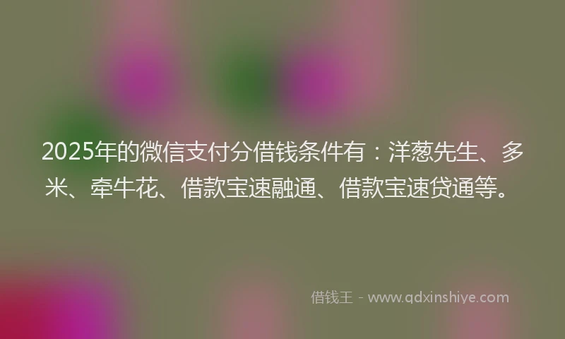 2025年的微信支付分借钱条件有：洋葱先生、多米、牵牛花、借款宝速融通、借款宝速贷通等。