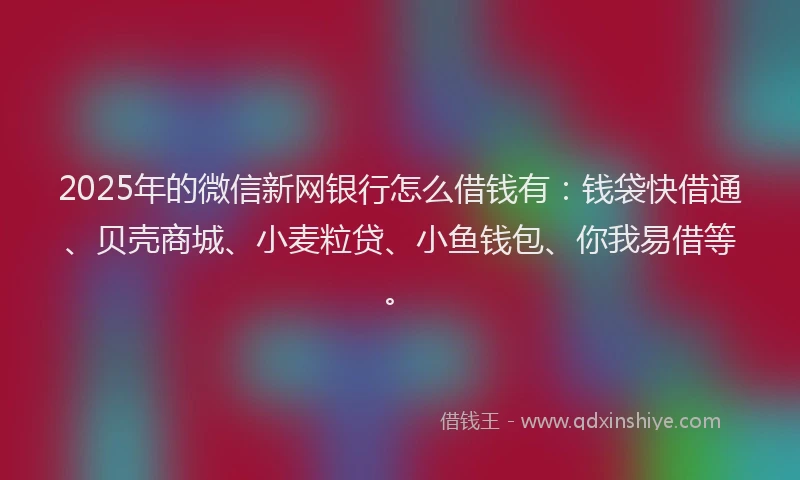 2025年的微信新网银行怎么借钱有：钱袋快借通、贝壳商城、小麦粒贷、小鱼钱包、你我易借等。