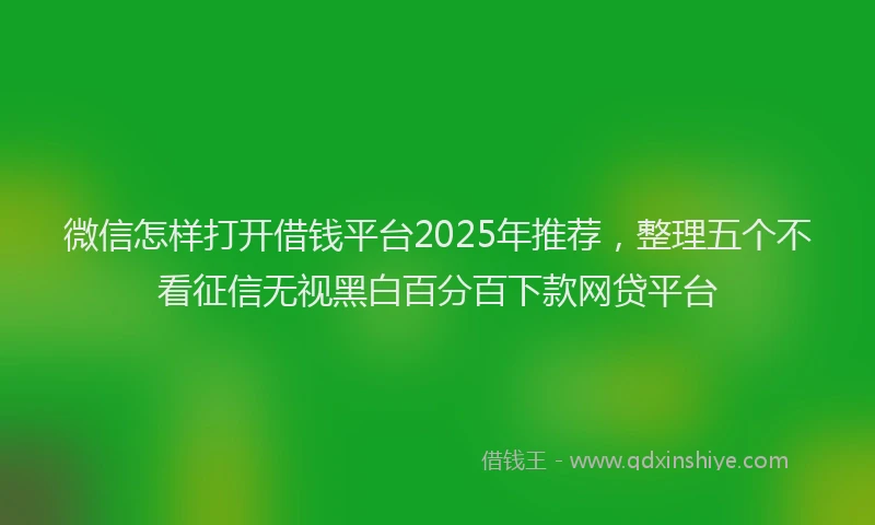 微信怎样打开借钱平台2025年推荐，整理五个不看征信无视黑白百分百下款网贷平台