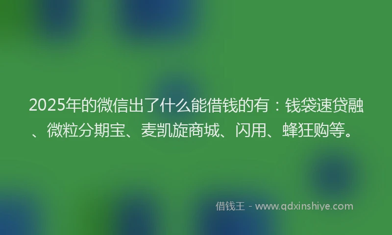 2025年的微信出了什么能借钱的有：钱袋速贷融、微粒分期宝、麦凯旋商城、闪用、蜂狂购等。