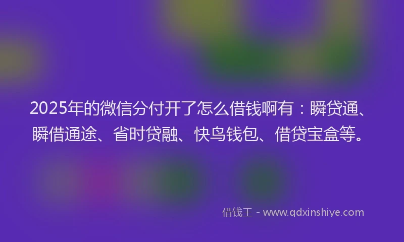2025年的微信分付开了怎么借钱啊有：瞬贷通、瞬借通途、省时贷融、快鸟钱包、借贷宝盒等。