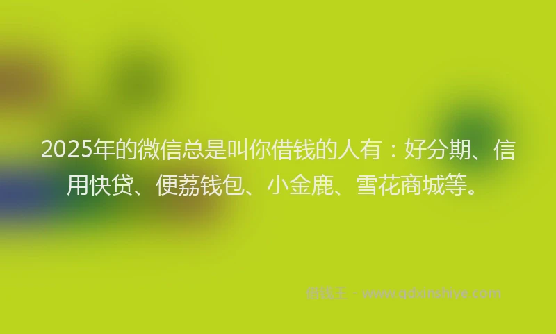 2025年的微信总是叫你借钱的人有：好分期、信用快贷、便荔钱包、小金鹿、雪花商城等。