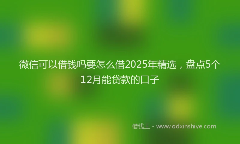 微信可以借钱吗要怎么借2025年精选，盘点5个12月能贷款的口子