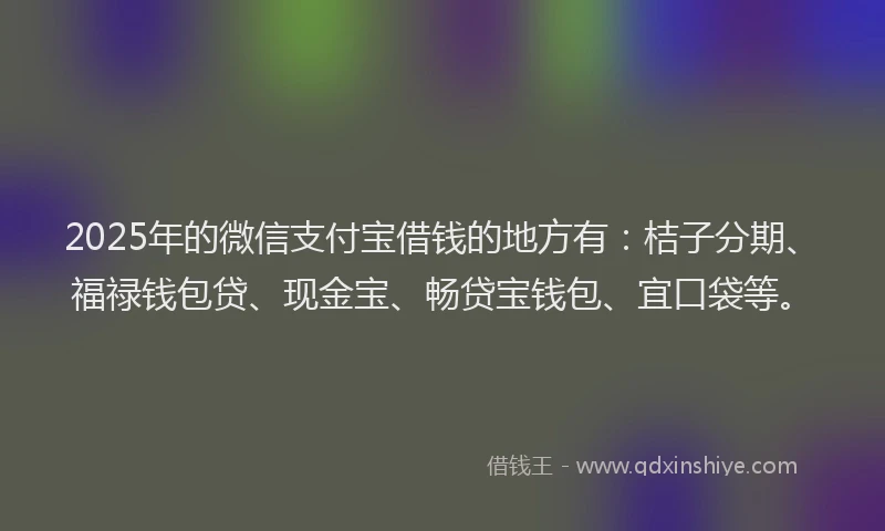 2025年的微信支付宝借钱的地方有：桔子分期、福禄钱包贷、现金宝、畅贷宝钱包、宜口袋等。