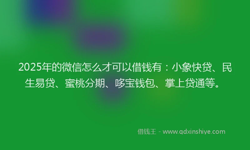 2025年的微信怎么才可以借钱有：小象快贷、民生易贷、蜜桃分期、哆宝钱包、掌上贷通等。