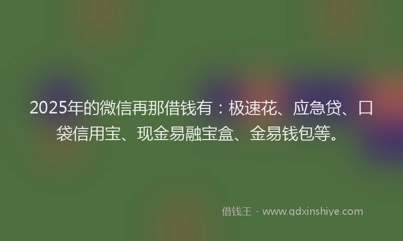 2025年的微信再那借钱有：极速花、应急贷、口袋信用宝、现金易融宝盒、金易钱包等。