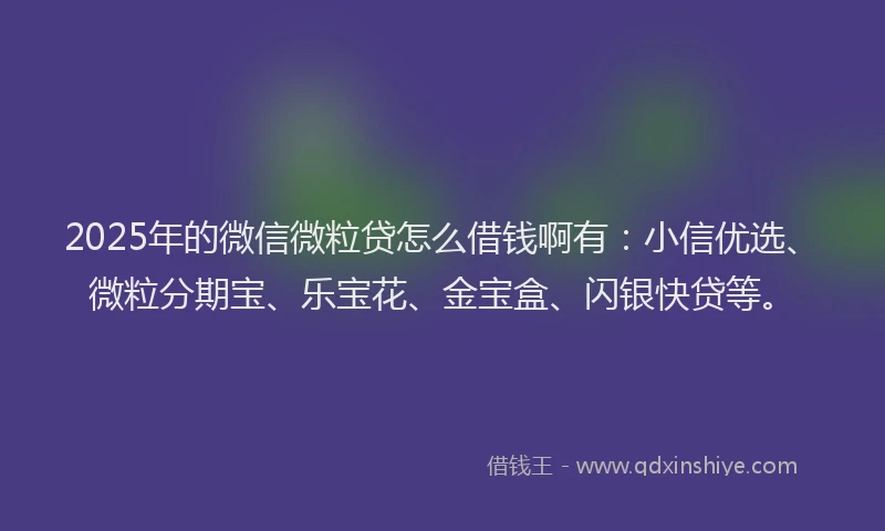 2025年的微信微粒贷怎么借钱啊有：小信优选、微粒分期宝、乐宝花、金宝盒、闪银快贷等。