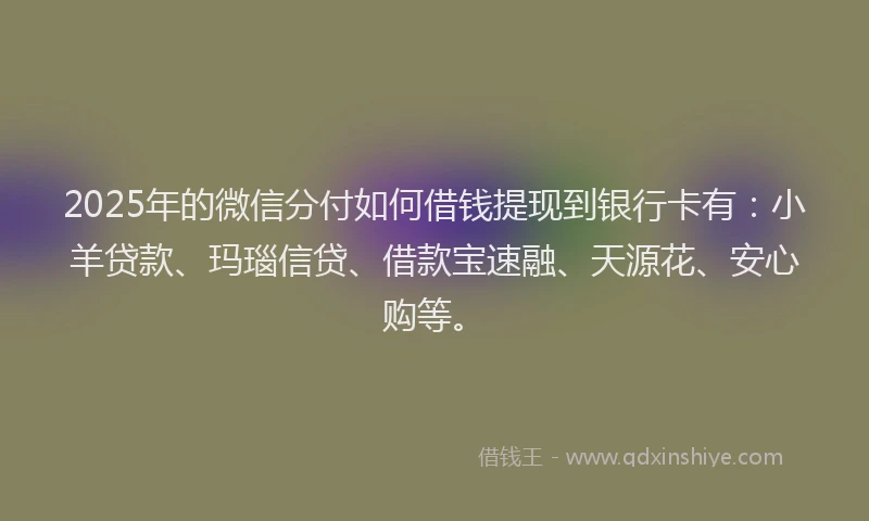 2025年的微信分付如何借钱提现到银行卡有：小羊贷款、玛瑙信贷、借款宝速融、天源花、安心购等。