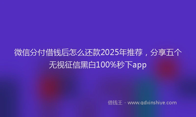 微信分付借钱后怎么还款2025年推荐，分享五个无视征信黑白100%秒下app