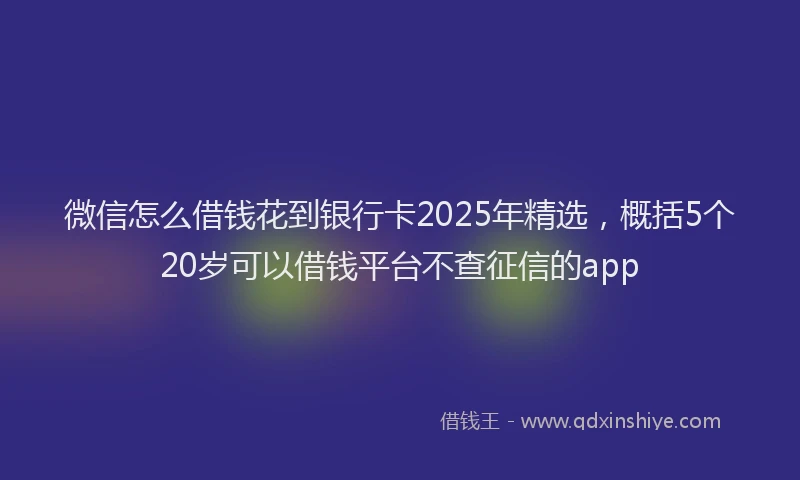 微信怎么借钱花到银行卡2025年精选，概括5个20岁可以借钱平台不查征信的app