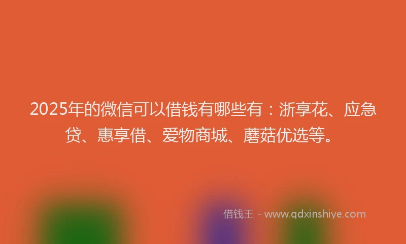 2025年的微信可以借钱有哪些有：浙享花、应急贷、惠享借、爱物商城、蘑菇优选等。
