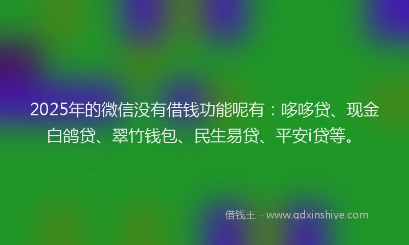 2025年的微信没有借钱功能呢有：哆哆贷、现金白鸽贷、翠竹钱包、民生易贷、平安i贷等。