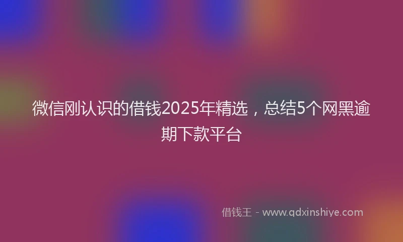 微信刚认识的借钱2025年精选，总结5个网黑逾期下款平台