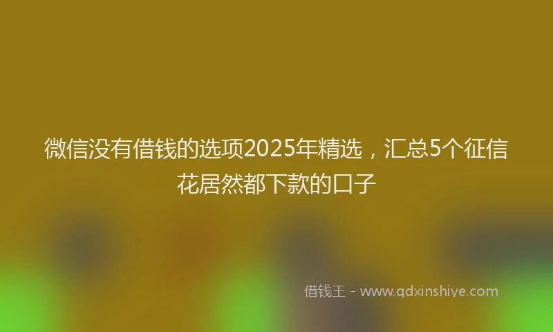 微信没有借钱的选项2025年精选，汇总5个征信花居然都下款的口子
