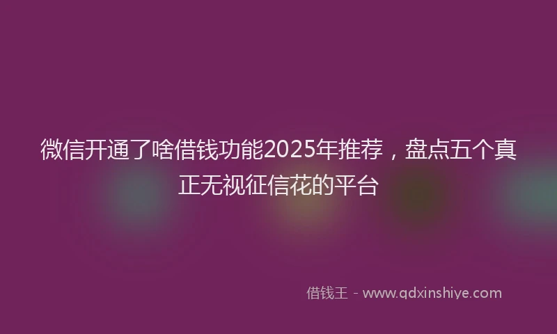 微信开通了啥借钱功能2025年推荐，盘点五个真正无视征信花的平台
