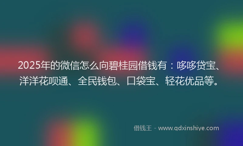 2025年的微信怎么向碧桂园借钱有：哆哆贷宝、洋洋花呗通、全民钱包、口袋宝、轻花优品等。