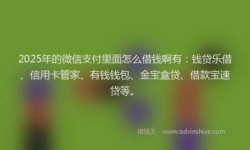 2025年的微信支付里面怎么借钱啊有：钱贷乐借、信用卡管家、有钱钱包、金宝盒贷、借款宝速贷等。