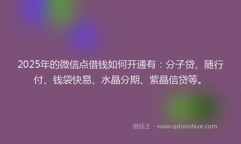 2025年的微信点借钱如何开通有：分子贷、随行付、钱袋快易、水晶分期、紫晶信贷等。