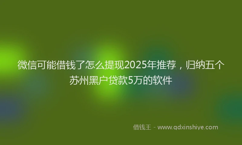 微信可能借钱了怎么提现2025年推荐，归纳五个苏州黑户贷款5万的软件