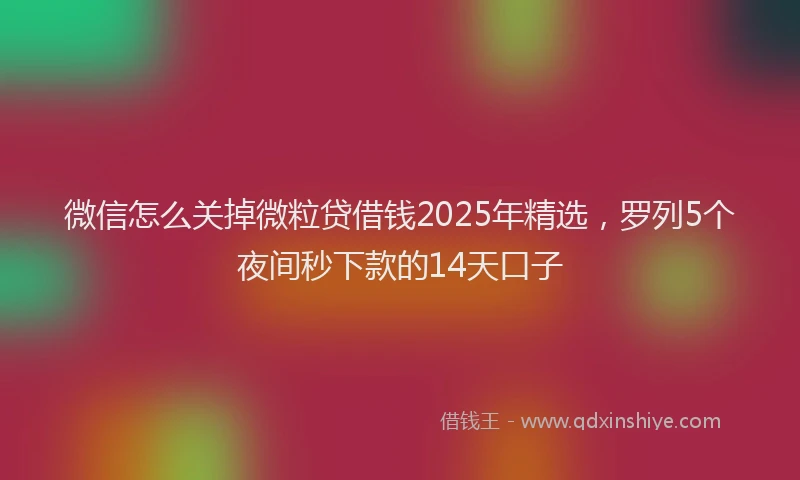 微信怎么关掉微粒贷借钱2025年精选，罗列5个夜间秒下款的14天口子