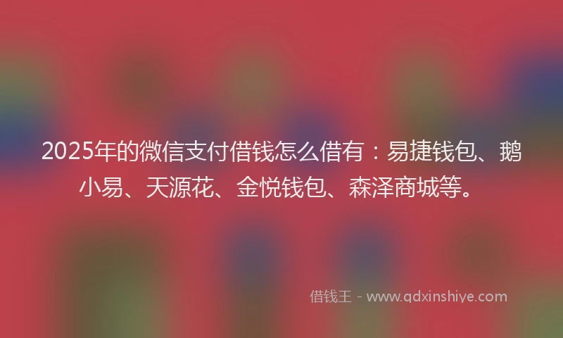 2025年的微信支付借钱怎么借有：易捷钱包、鹅小易、天源花、金悦钱包、森泽商城等。