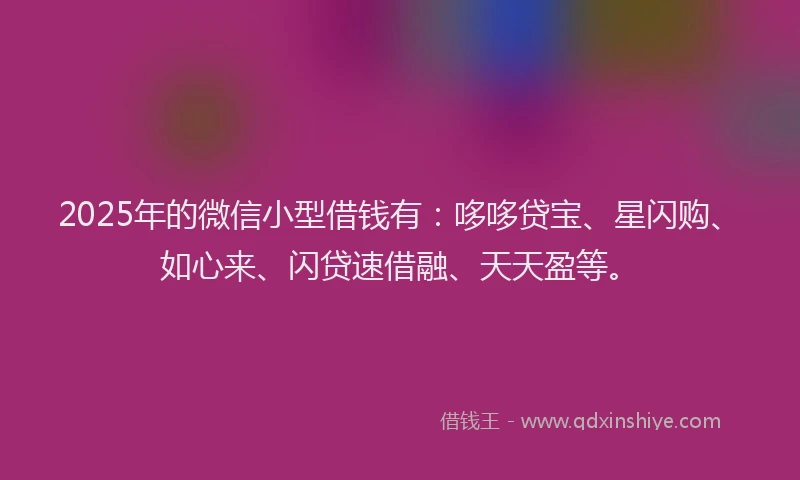 2025年的微信小型借钱有：哆哆贷宝、星闪购、如心来、闪贷速借融、天天盈等。