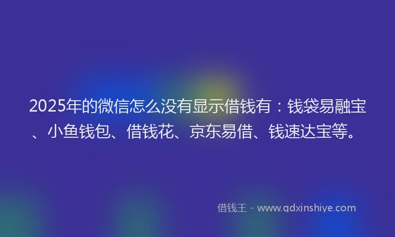 2025年的微信怎么没有显示借钱有：钱袋易融宝、小鱼钱包、借钱花、京东易借、钱速达宝等。