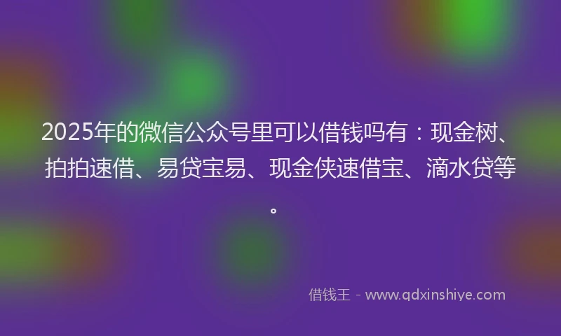 2025年的微信公众号里可以借钱吗有：现金树、拍拍速借、易贷宝易、现金侠速借宝、滴水贷等。