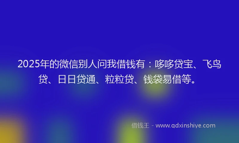 2025年的微信别人问我借钱有：哆哆贷宝、飞鸟贷、日日贷通、粒粒贷、钱袋易借等。