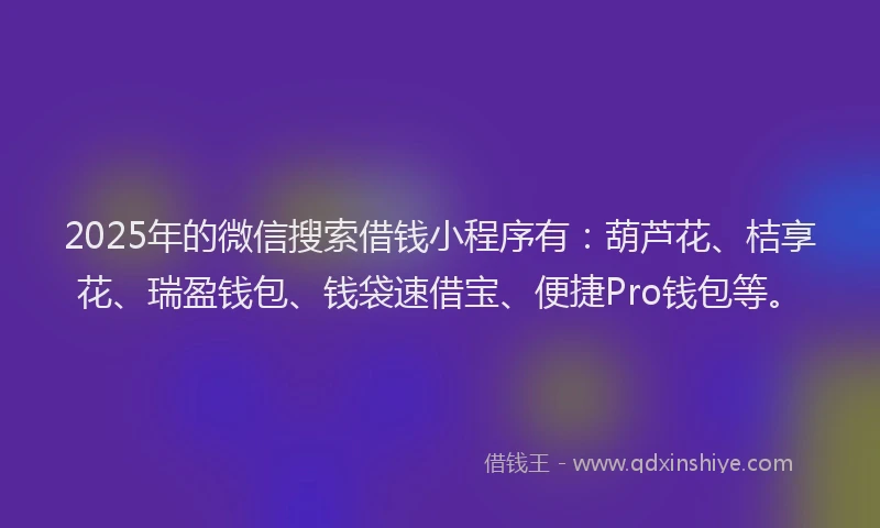2025年的微信搜索借钱小程序有：葫芦花、桔享花、瑞盈钱包、钱袋速借宝、便捷Pro钱包等。