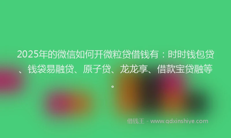 2025年的微信如何开微粒贷借钱有：时时钱包贷、钱袋易融贷、原子贷、龙龙享、借款宝贷融等。