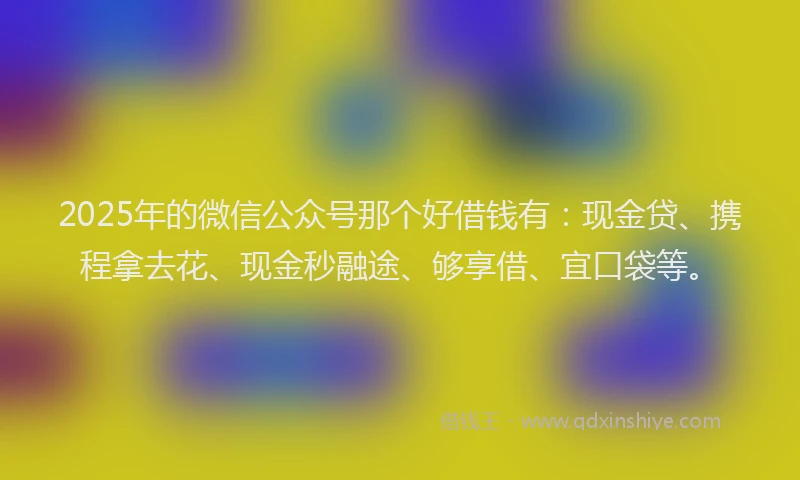 2025年的微信公众号那个好借钱有：现金贷、携程拿去花、现金秒融途、够享借、宜口袋等。