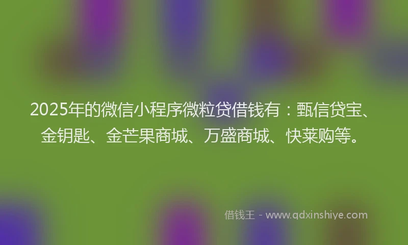 2025年的微信小程序微粒贷借钱有：甄信贷宝、金钥匙、金芒果商城、万盛商城、快莱购等。