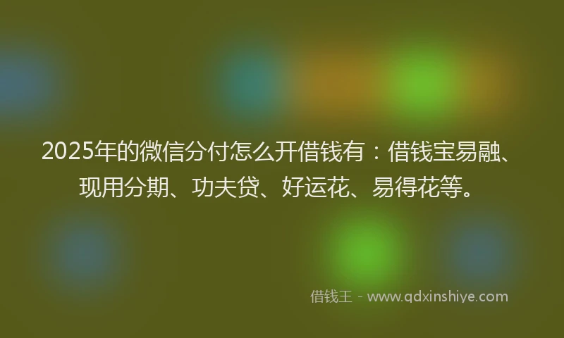 2025年的微信分付怎么开借钱有：借钱宝易融、现用分期、功夫贷、好运花、易得花等。