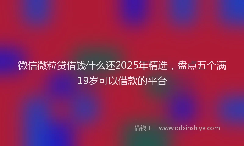 微信微粒贷借钱什么还2025年精选，盘点五个满19岁可以借款的平台