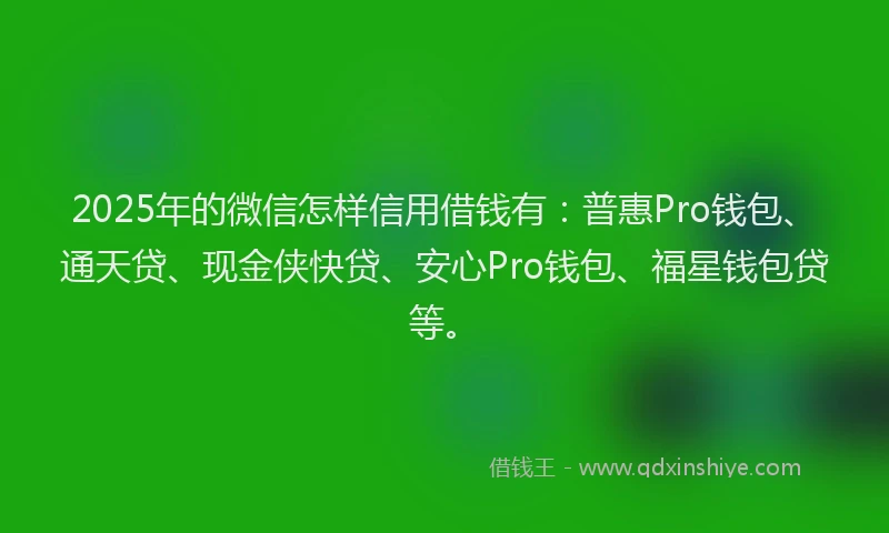 2025年的微信怎样信用借钱有：普惠Pro钱包、通天贷、现金侠快贷、安心Pro钱包、福星钱包贷等。