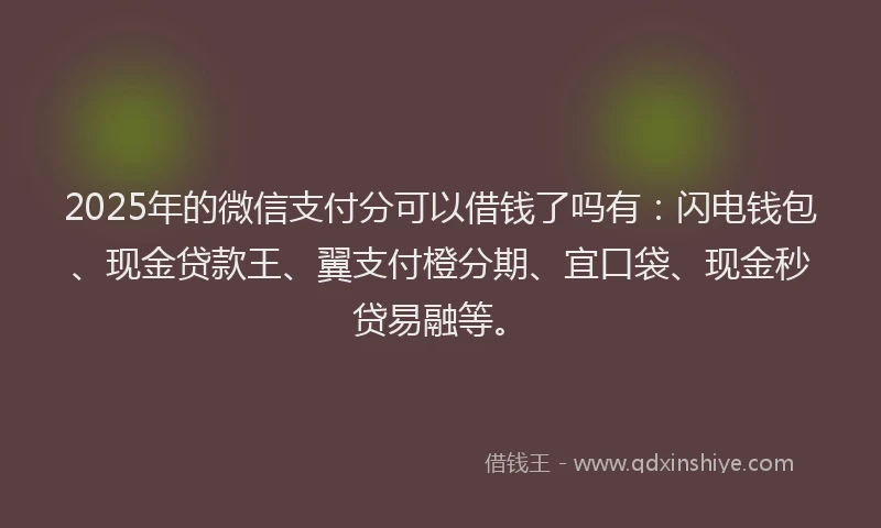 2025年的微信支付分可以借钱了吗有：闪电钱包、现金贷款王、翼支付橙分期、宜口袋、现金秒贷易融等。