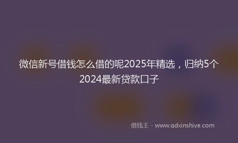 微信新号借钱怎么借的呢2025年精选，归纳5个2024最新贷款口子