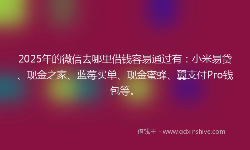 2025年的微信去哪里借钱容易通过有：小米易贷、现金之家、蓝莓买单、现金蜜蜂、翼支付Pro钱包等。