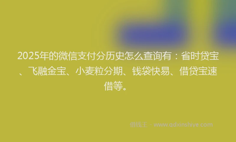 2025年的微信支付分历史怎么查询有：省时贷宝、飞融金宝、小麦粒分期、钱袋快易、借贷宝速借等。
