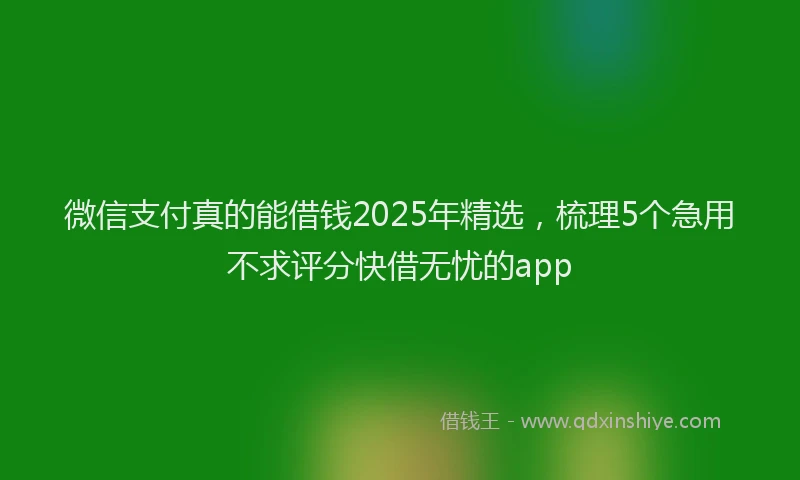 微信支付真的能借钱2025年精选，梳理5个急用不求评分快借无忧的app
