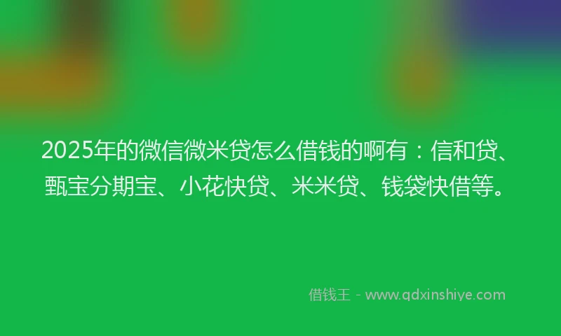 2025年的微信微米贷怎么借钱的啊有：信和贷、甄宝分期宝、小花快贷、米米贷、钱袋快借等。