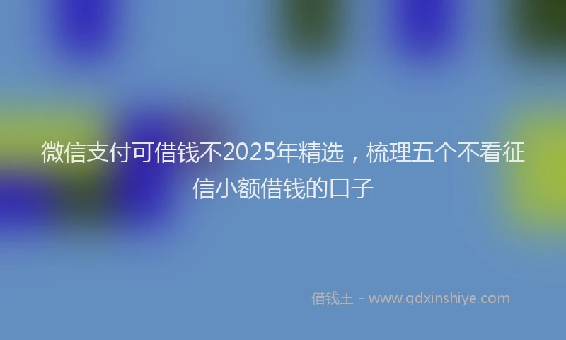 微信支付可借钱不2025年精选，梳理五个不看征信小额借钱的口子
