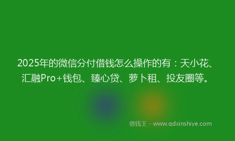 2025年的微信分付借钱怎么操作的有：天小花、汇融Pro+钱包、臻心贷、萝卜租、投友圈等。