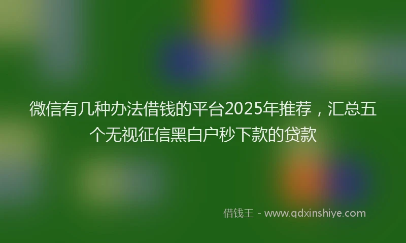 微信有几种办法借钱的平台2025年推荐，汇总五个无视征信黑白户秒下款的贷款