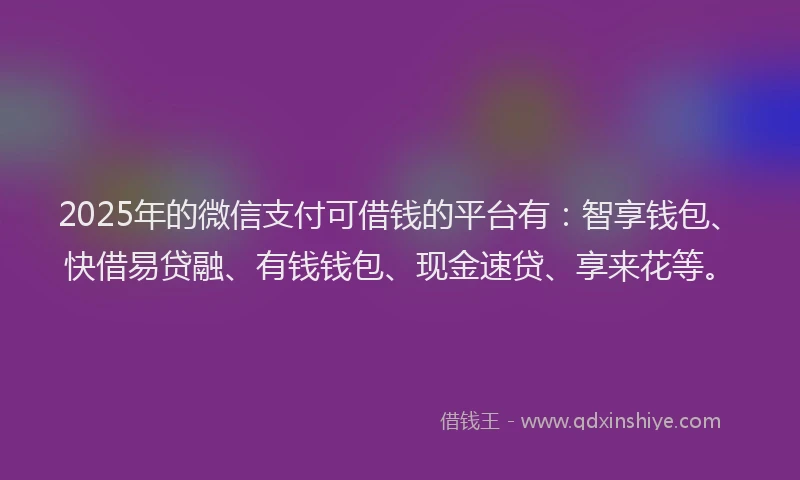 2025年的微信支付可借钱的平台有：智享钱包、快借易贷融、有钱钱包、现金速贷、享来花等。