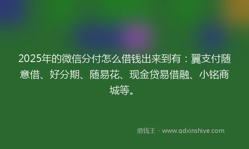 2025年的微信分付怎么借钱出来到有：翼支付随意借、好分期、随易花、现金贷易借融、小铭商城等。