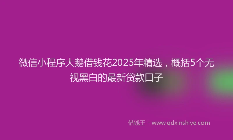 微信小程序大鹅借钱花2025年精选，概括5个无视黑白的最新贷款口子