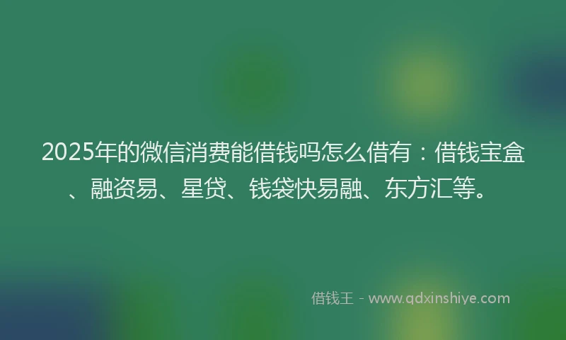 2025年的微信消费能借钱吗怎么借有：借钱宝盒、融资易、星贷、钱袋快易融、东方汇等。