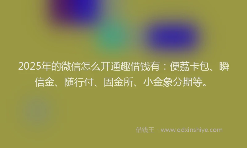 2025年的微信怎么开通趣借钱有：便荔卡包、瞬信金、随行付、固金所、小金象分期等。